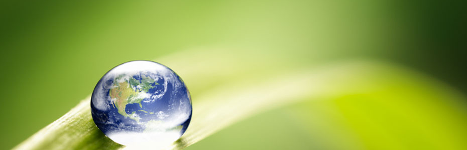 environment